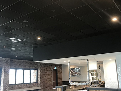 Black fiberglass ceiling panels